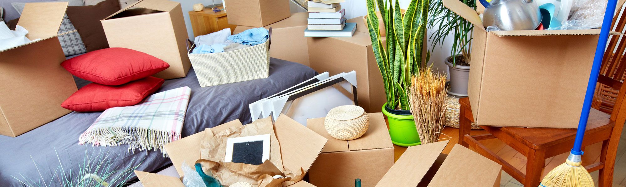 Make Your Move Go Smooth and on Budget